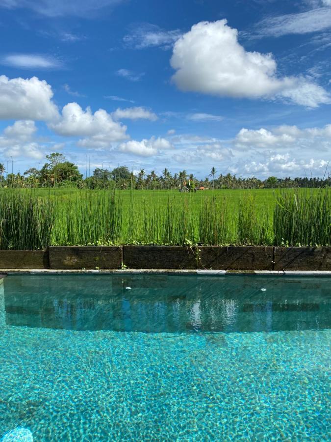 Casa Avana Ubud Esterno foto