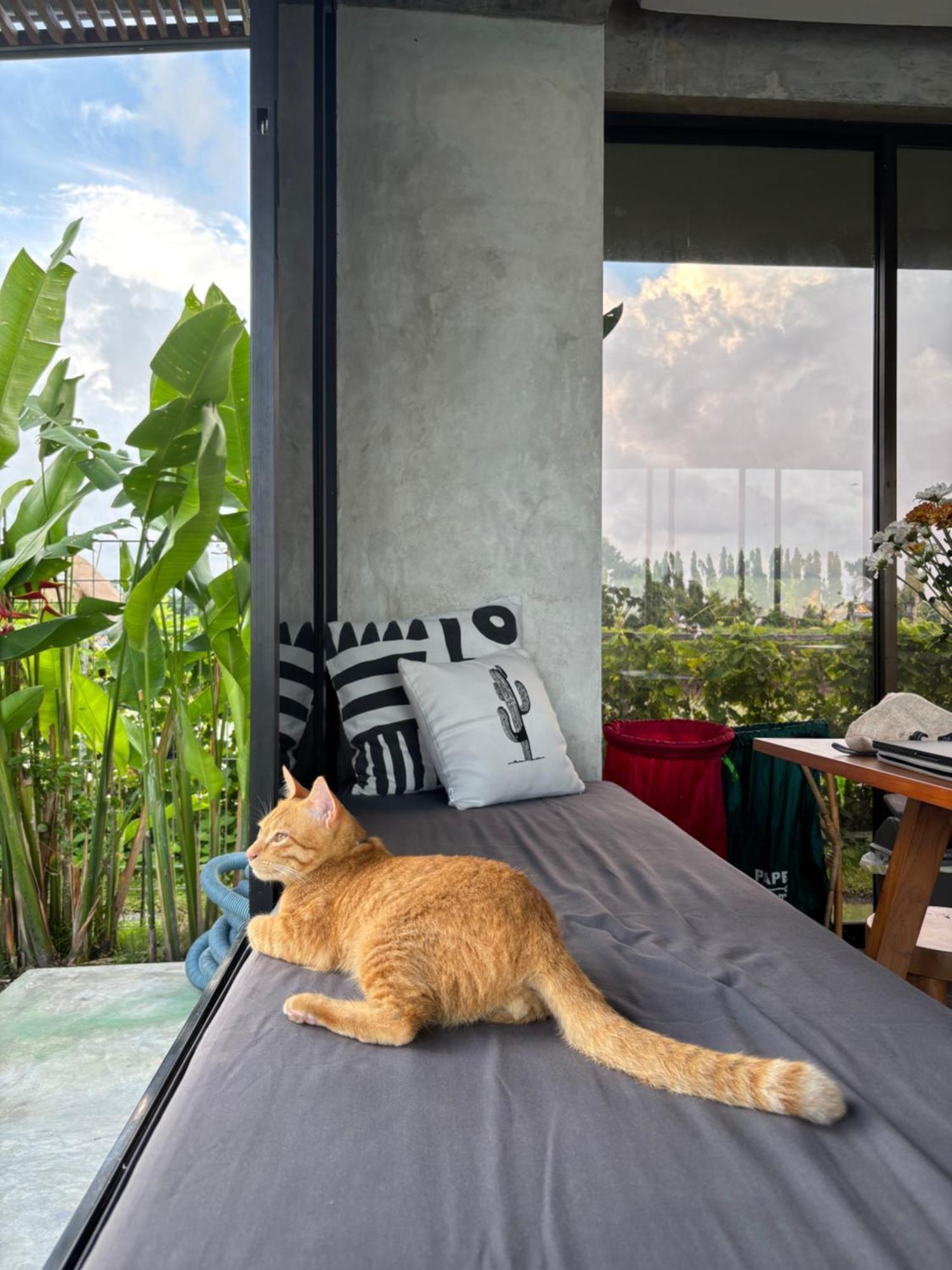 Casa Avana Ubud Esterno foto